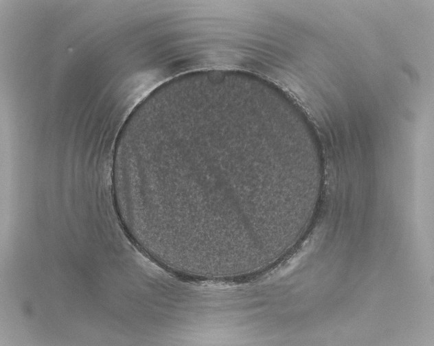 X0000115041081200911161522