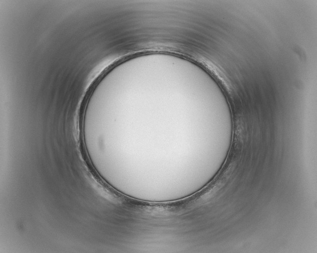X0000115041082200911161522