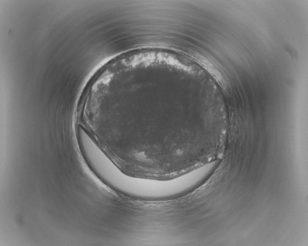 X0000115041084200911161522