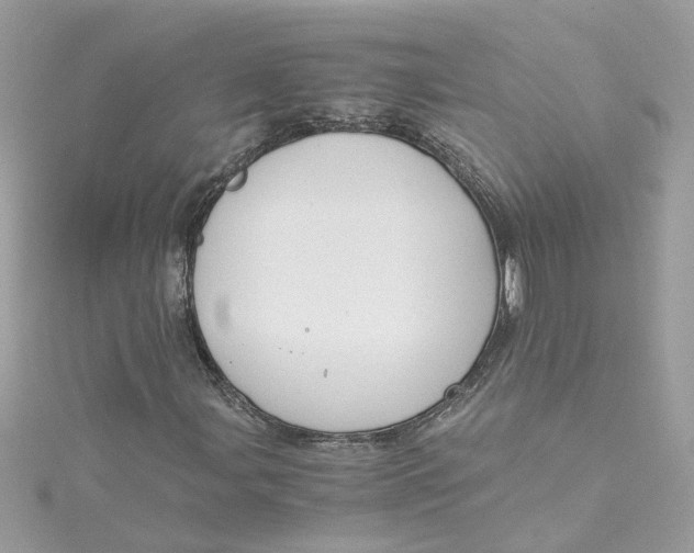 X0000115041107200911161521