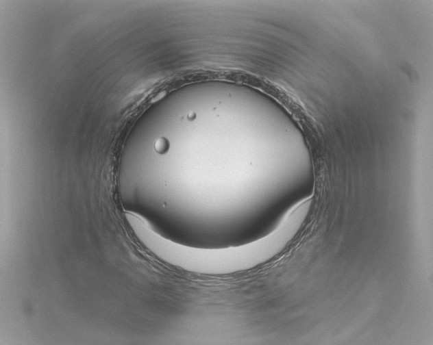 X0000115041110200911161521