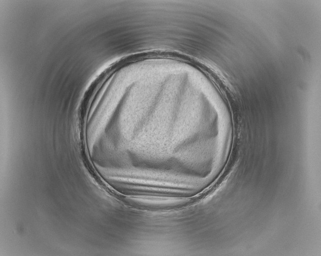 X0000115041118200911161522