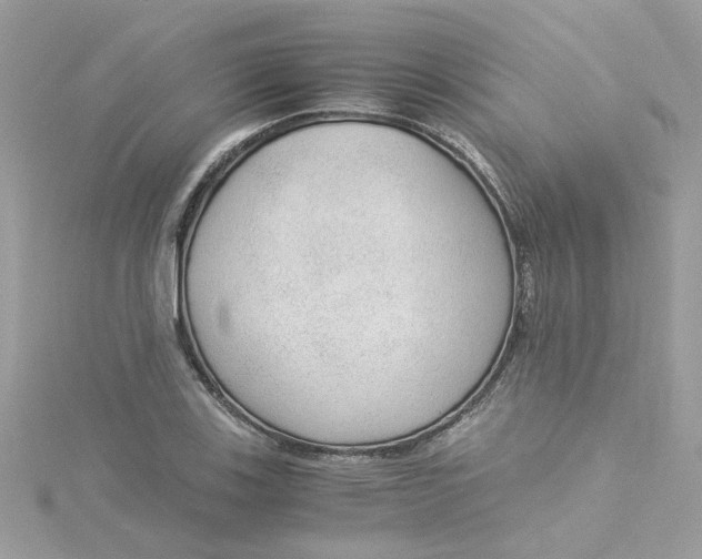X0000115041123200911161522