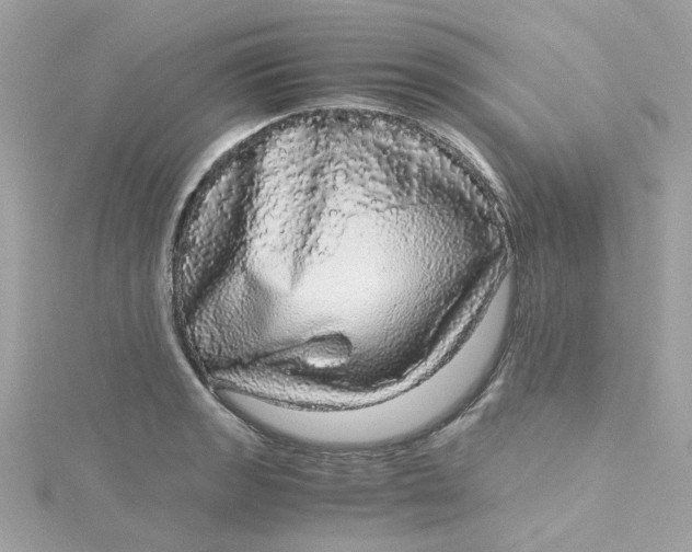X0000115041133200911161522