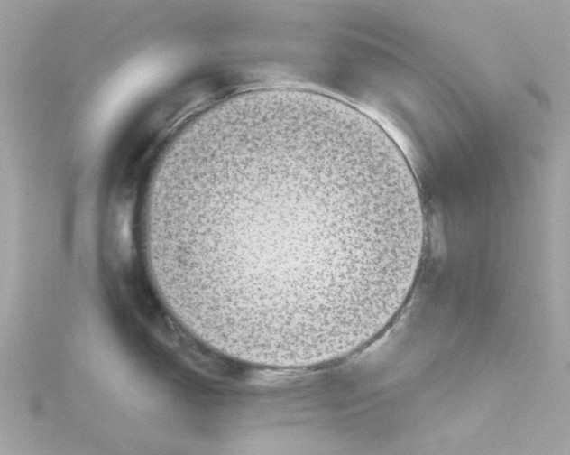 X0000115041150200911161522