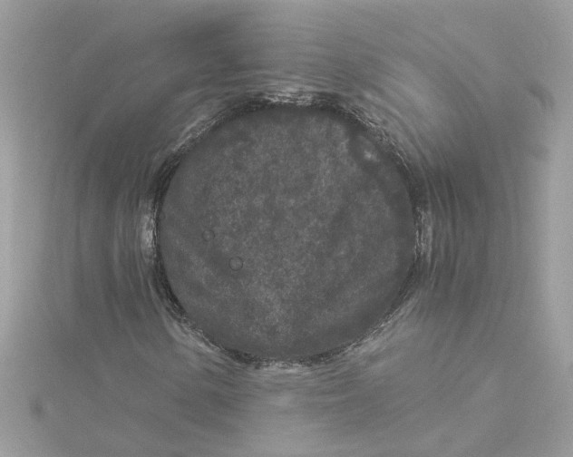 X0000115041154200911161521