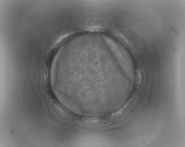 X0000115041158200911161521