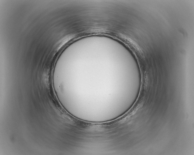 X0000115041162200911161521