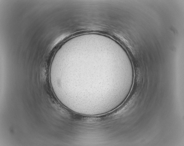 X0000115041163200911161521
