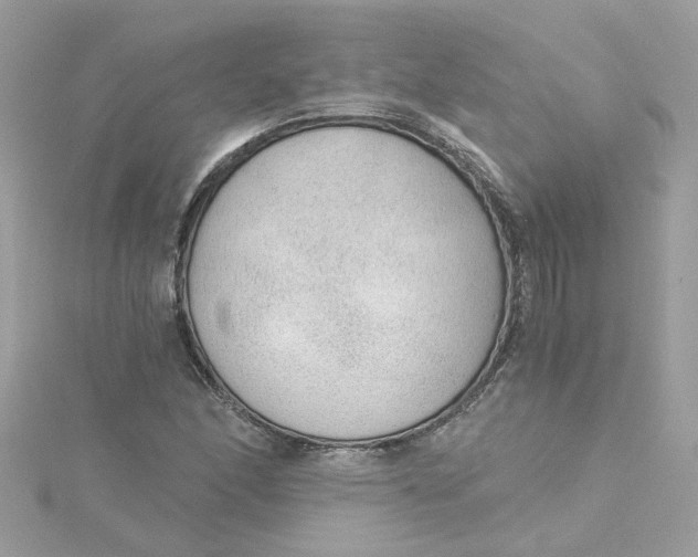 X0000115041166200911161521