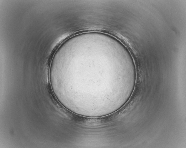 X0000115041171200911161521