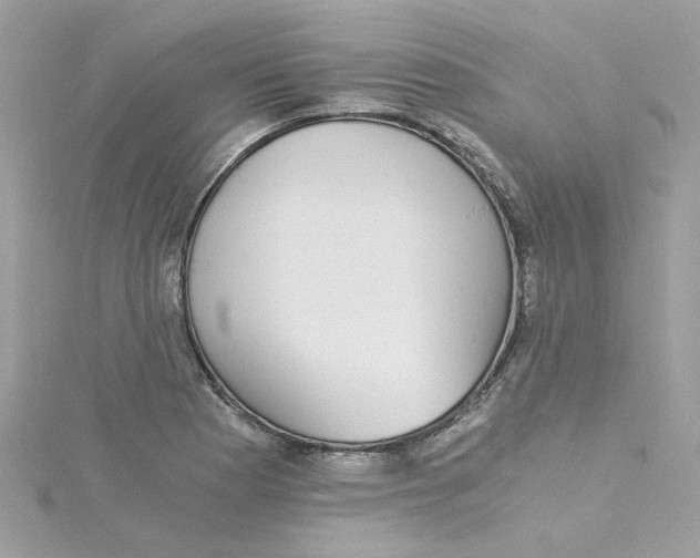 X0000115041177200911161521