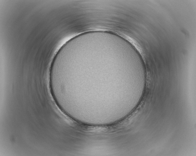 X0000115041187200911161521