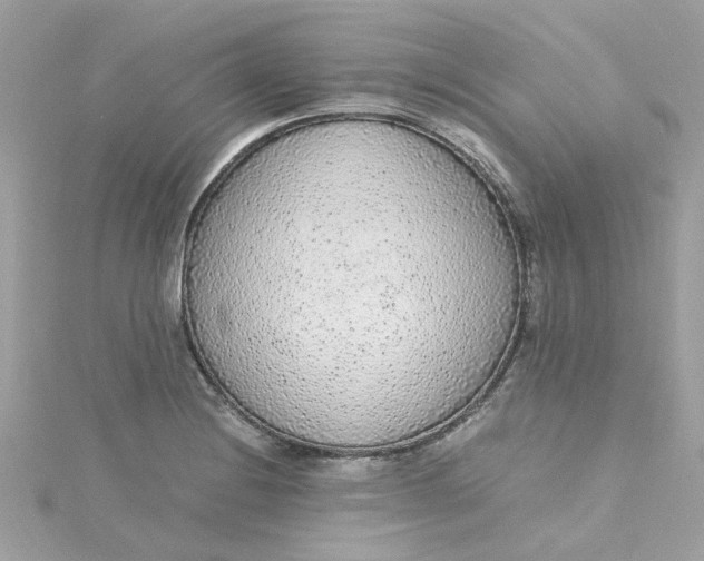 X0000115041228200911161520