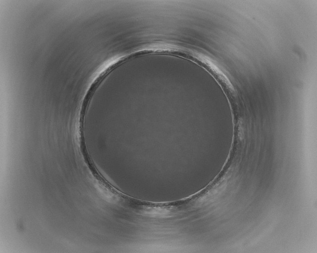 X0000115041229200911161520