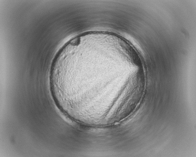 X0000115041237200911161520