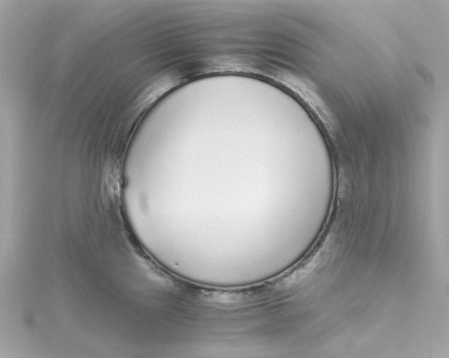 X0000115041241200911161520