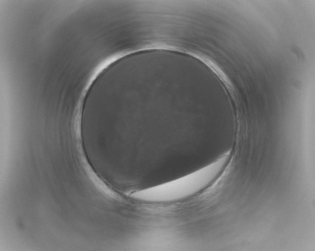 X0000115041246200911161521