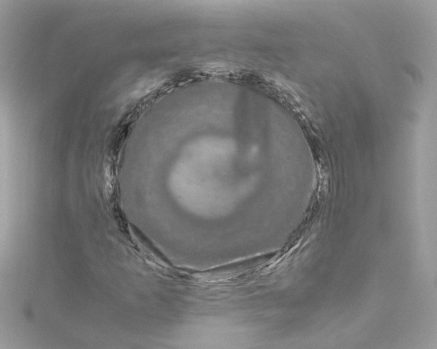 X0000115041253200911161520