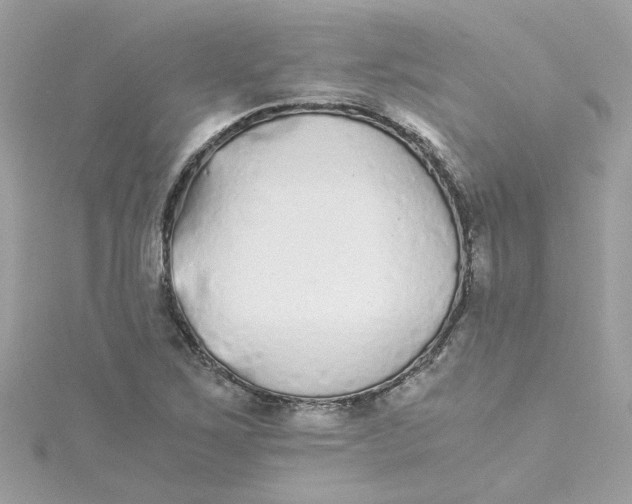 X0000115041267200911161520