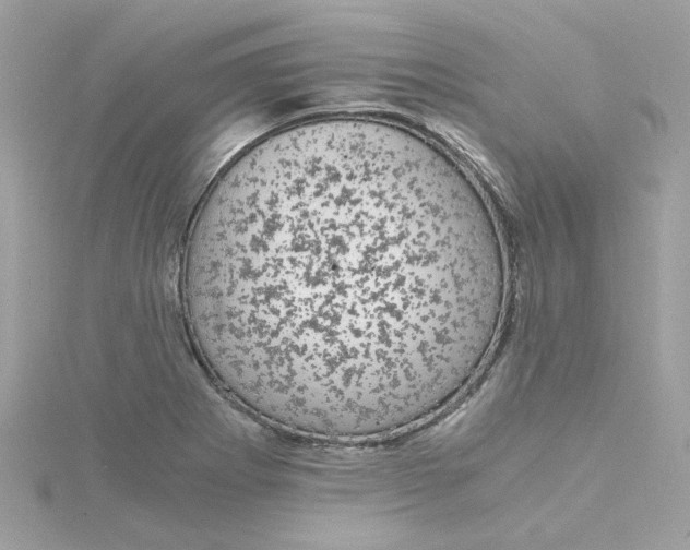 X0000115041273200911161519
