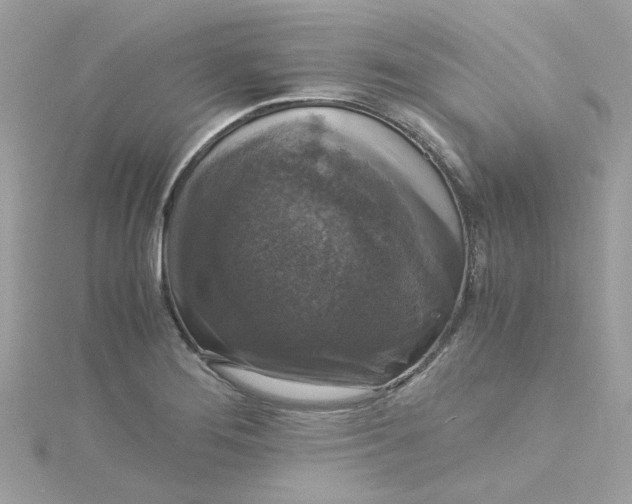 X0000115041276200911161519