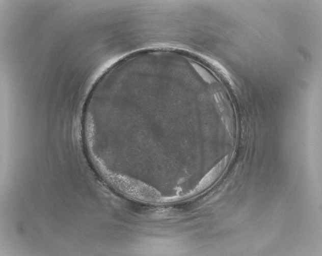 X0000115041279200911161519
