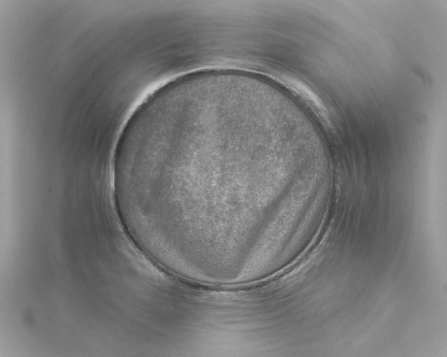 X0000115041280200911161519