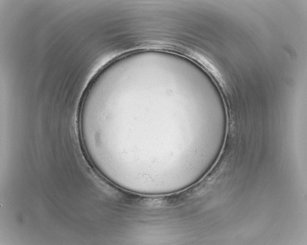 X0000115041283200911161519