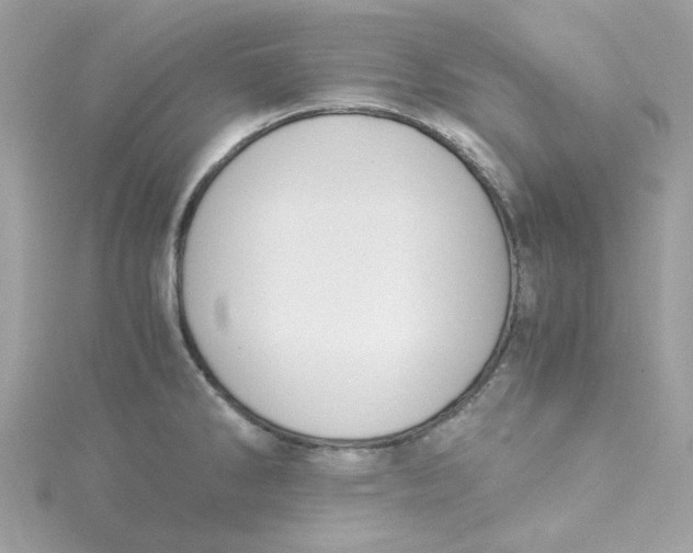 X0000115041286200911161519