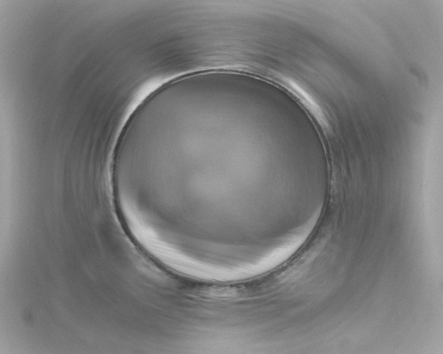 X0000115041291200911161519