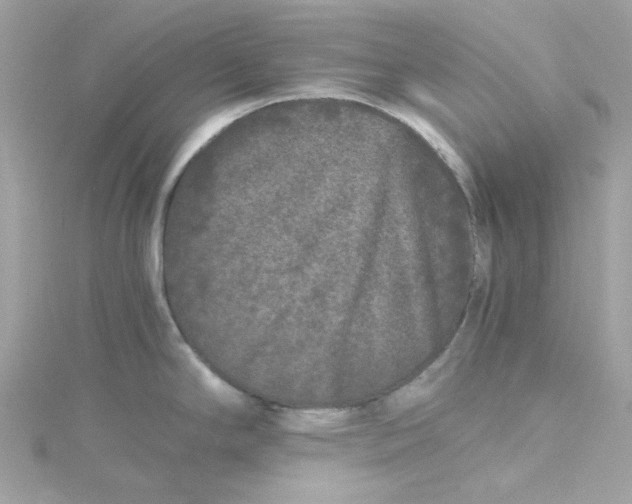 X0000115041294200911161519