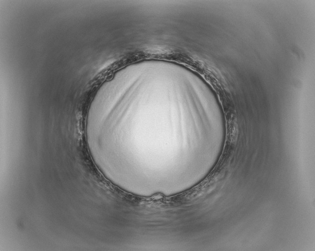 X0000115041301200911161519