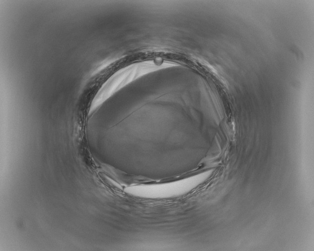 X0000115041303200911161519
