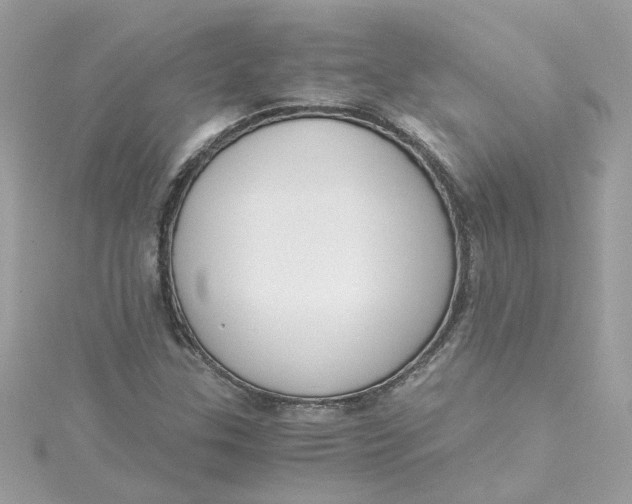 X0000115041307200911161519