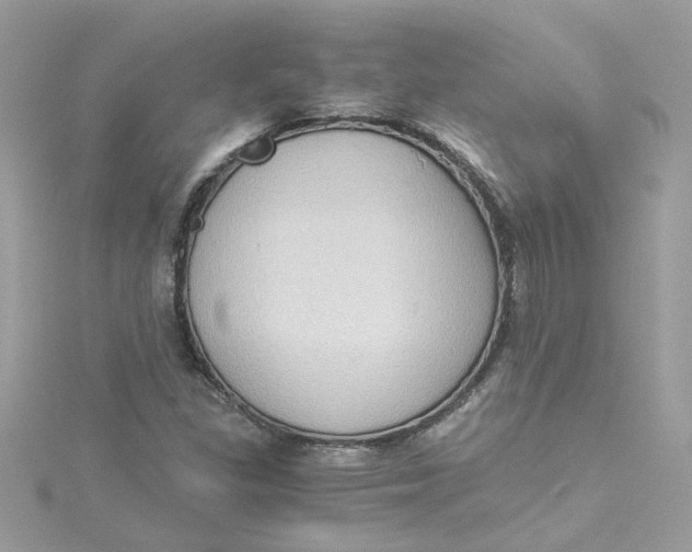 X0000115041309200911161519