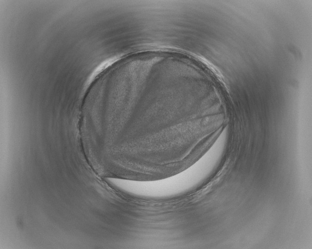 X0000115041314200911161519