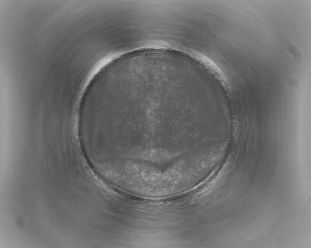 X0000115041326200911161519