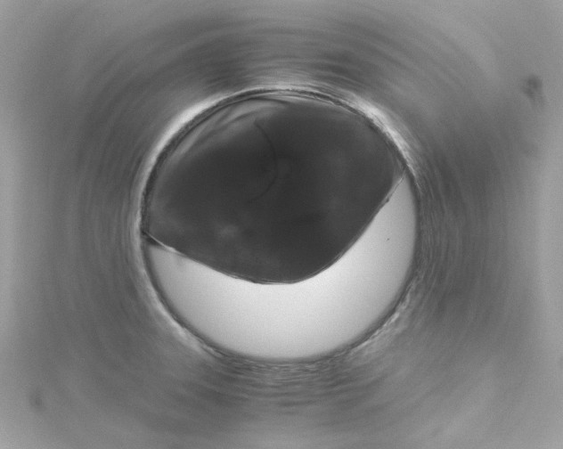 X0000115041331200911161519