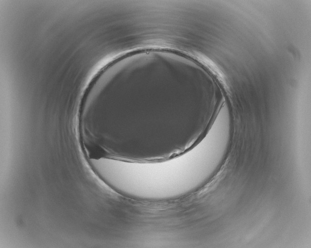 X0000115041334200911161519