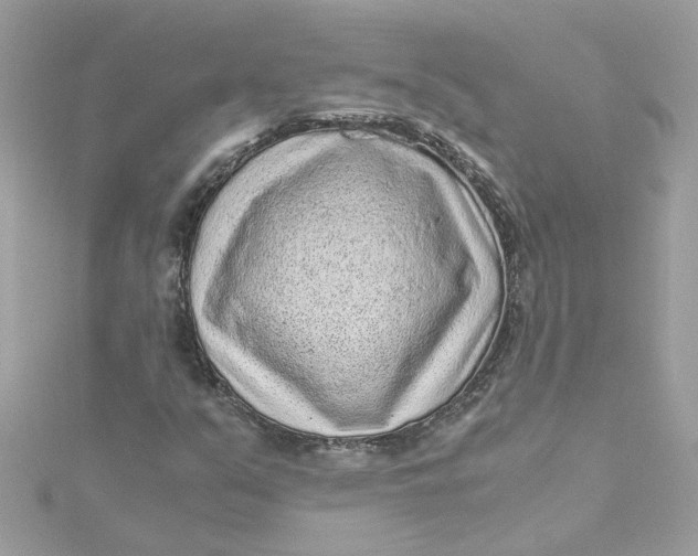 X0000115041351200911161518