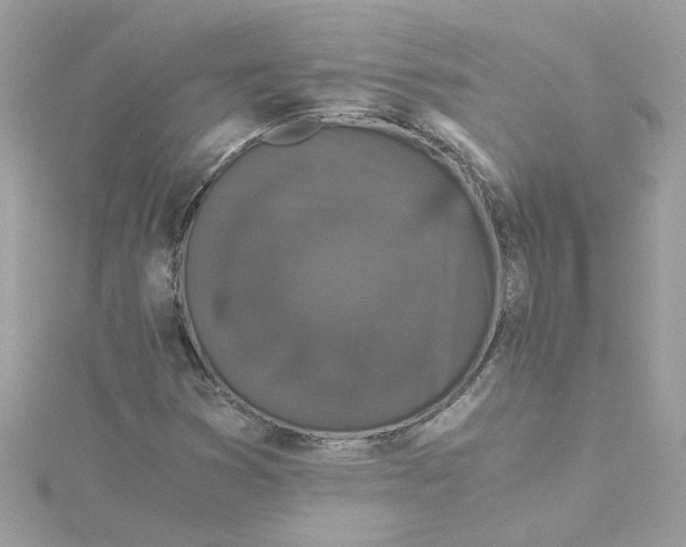 X0000115041353200911161518