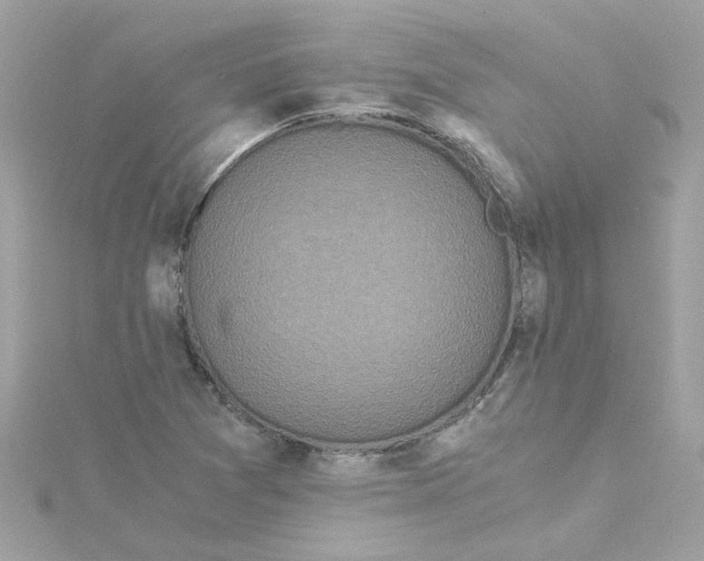 X0000115041361200911161518