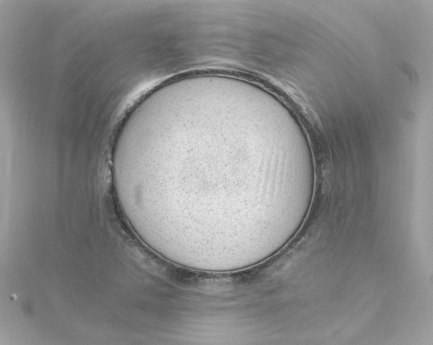 X0000115041363200911161518