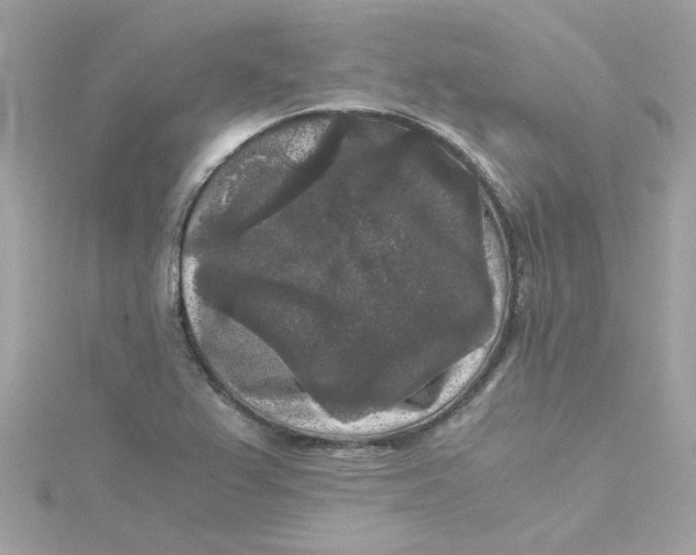X0000115041367200911161518