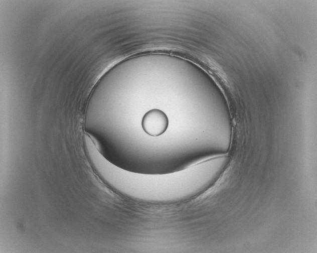 X0000115041369200911161518