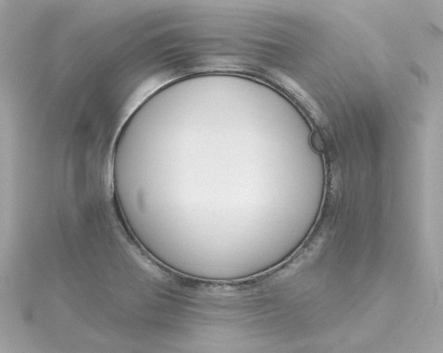 X0000115041370200911161518