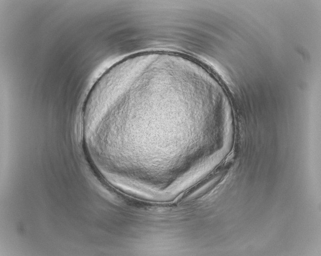X0000115041371200911161518