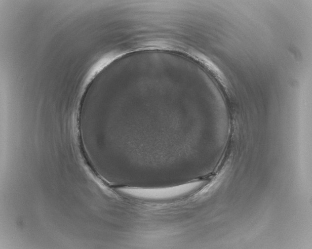 X0000115041373200911161518