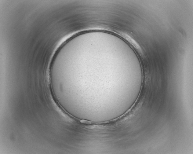X0000115041380200911161518